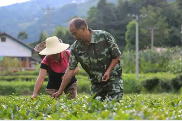 2013�꣬���·���Զǧ������ʯ��������ɽ�µ�Ѧ�Ҵ壬��ʼ����������ķ�ƶ����������