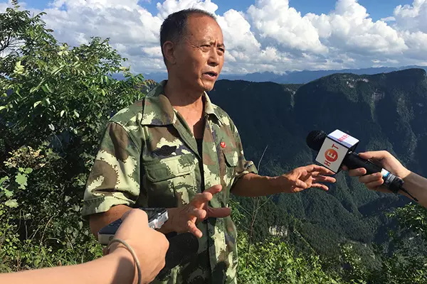 ���·�����ý��ɷá�